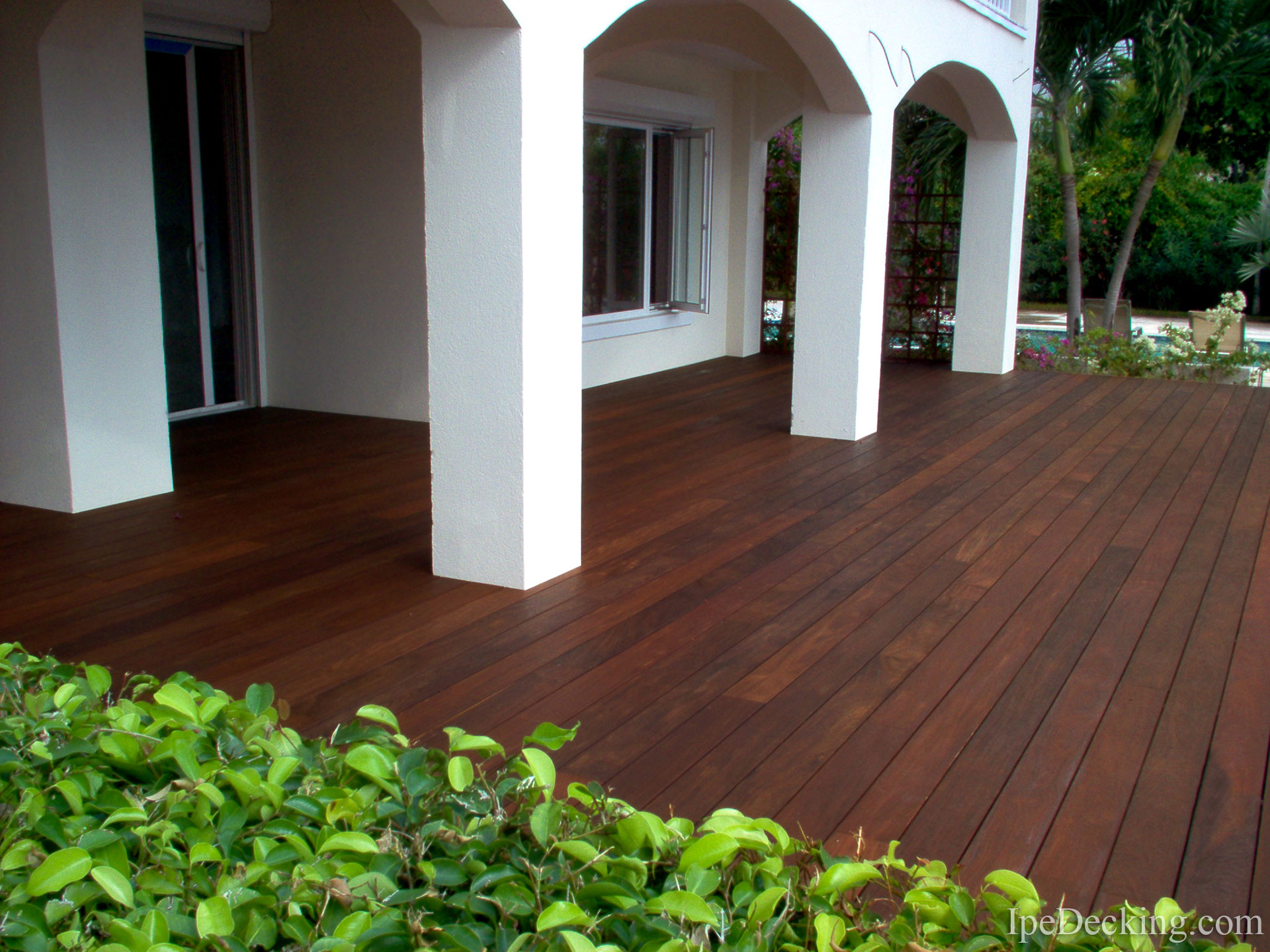 Ipe Decking